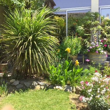 Sleeps 8 Pool Wifi וילה Olonzac
